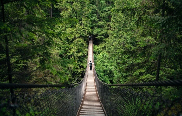 Định cư Canada theo diện tay nghề