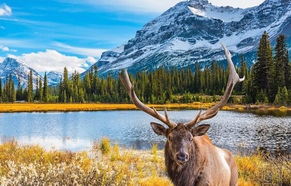 Các câu hỏi thường gặp đến Canada