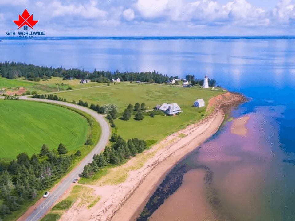 dao-hoang-tu-noi-tieng-ve-nhung-duong-bo-bien-dai-trong-xanh