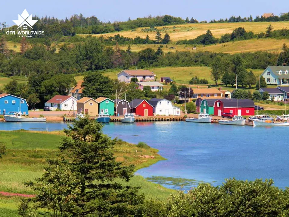 Bạn Biết Gì Về “Định Cư Canada Diện Đầu Tư”? 10 dao-hoang-tu-pei-la-tinh-bang-thong-tri-ve-nong-nghiep-tren-toan-bo-canada