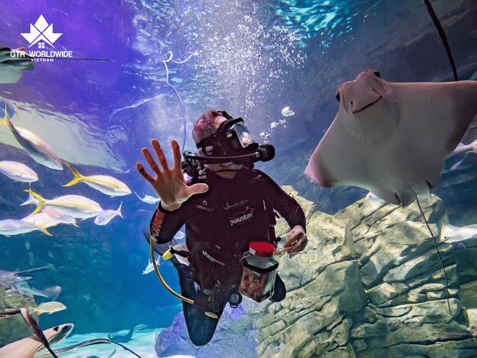 Du lịch Canada Toronto - Những địa điểm không nên bỏ lỡ 6 aquarium-cua-canada-ripley