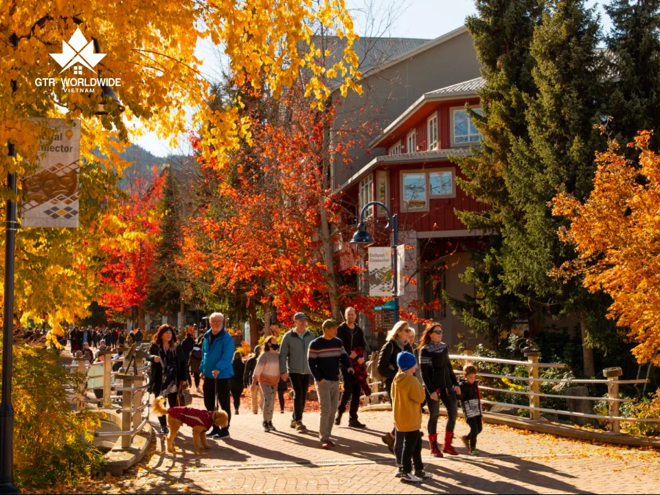 quang cảnh thú vị và tiết trời dễ chịu khi đi du lịch canada vào mùa thu