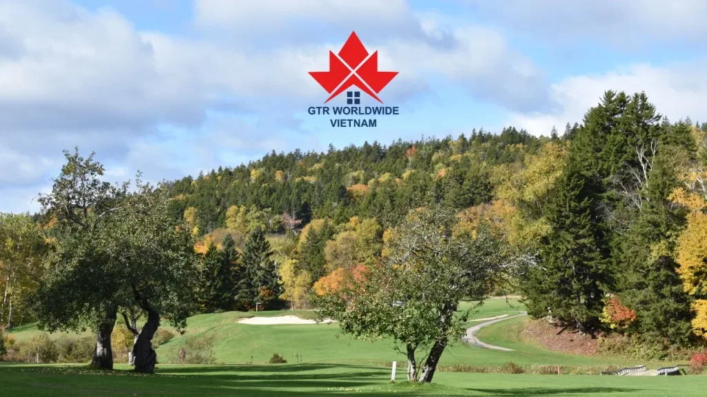 Định cư diện Doanh nhân New Brunswick - 1 lựa chọn mới cho doanh nhân Việt