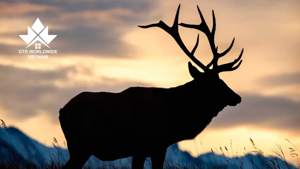 Red Deer - 1 vùng đất đầy hứa hẹn cho những khởi đầu mới 3 Red Deer - 1 vùng đất đầy hứa hẹn cho những khởi đầu mới