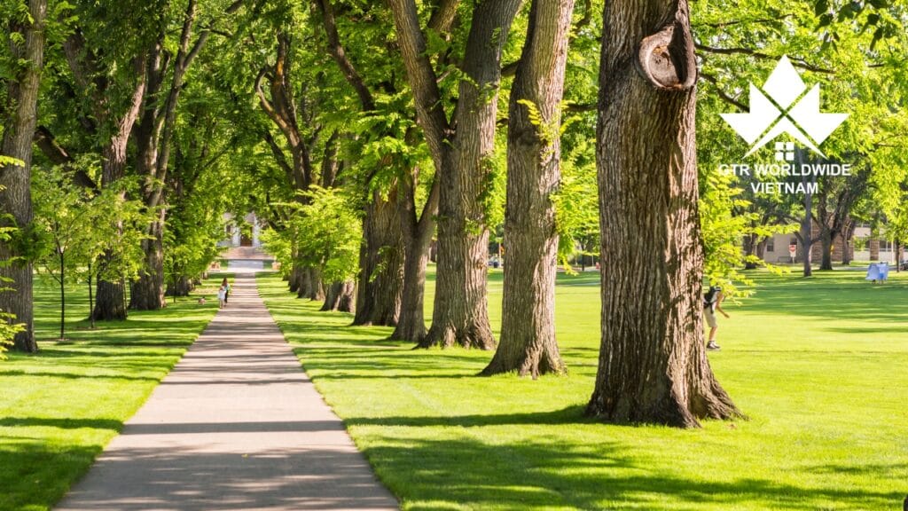 2 lựa chọn việc làm cho du học sinh: On-campus hay Off-campus jobs 5 Việc làm cho du học sinh: On-campus hay Off-campus jobs