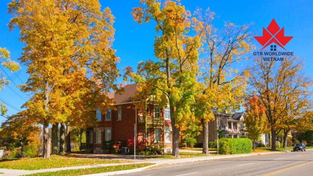 Chương trình thí điểm mới cung cấp con đường thường trú vĩnh viễn cho Người chăm sóc nước ngoài, được thông báo vào 06.2024