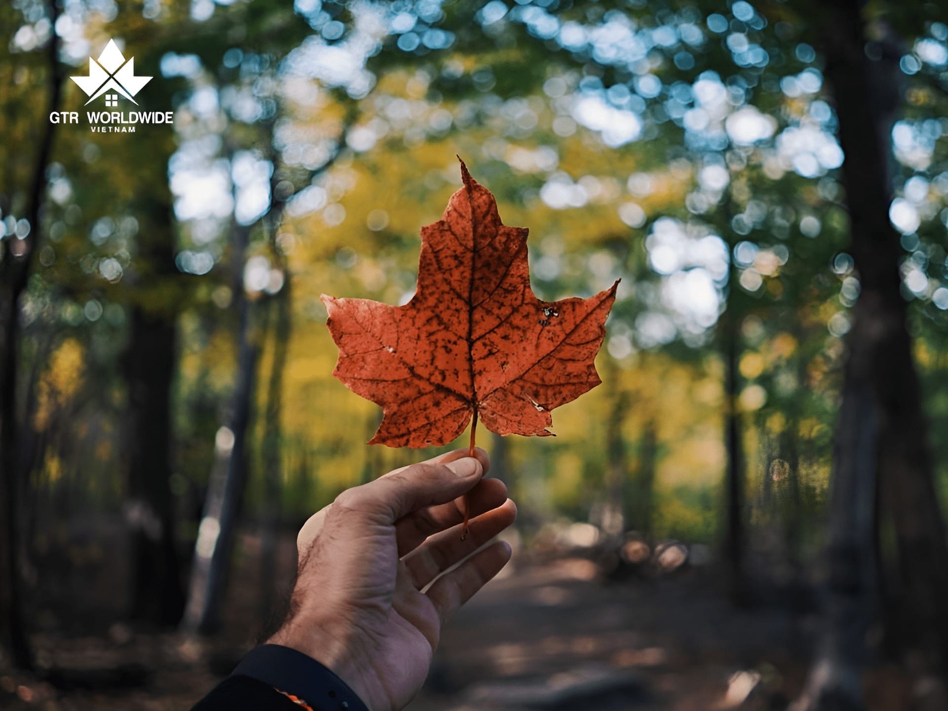 định cư alberta Canada
