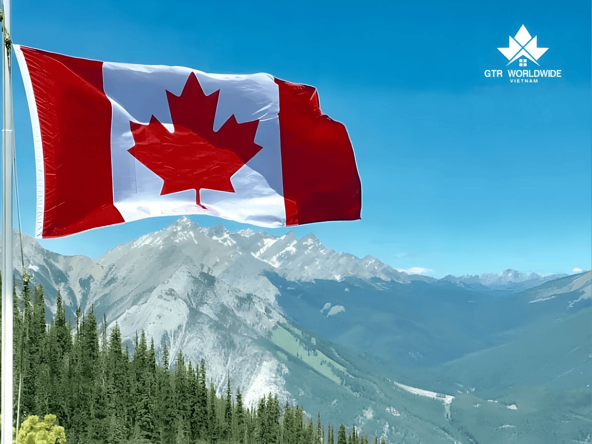Bí Quyết Định Cư Canada Không Cần IELTS 5 GTR Worldwide tư vấn định cư canada không cần ielts