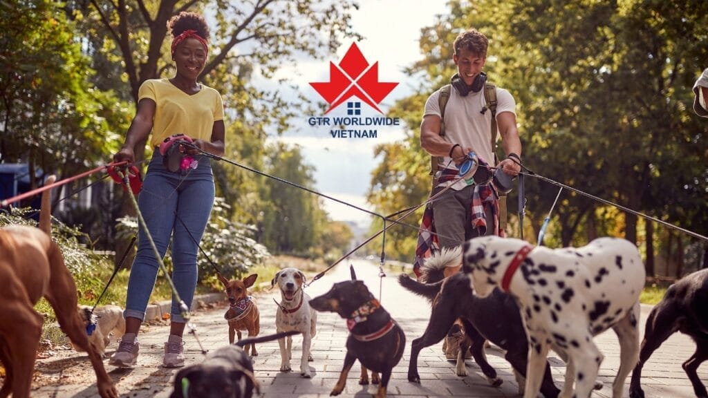 Những công việc part-time lương cao dành cho du học sinh tại Canada năm 2024 7 gtrworldwide.com.vn