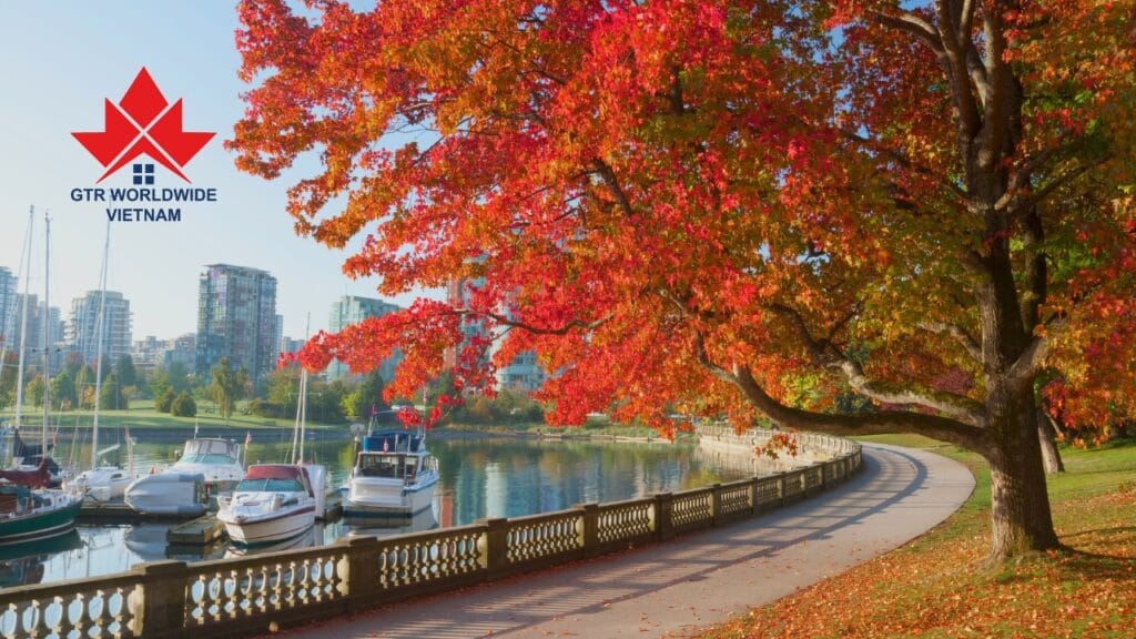 1…2…3 Mùa thu Canada đây rồi! 3 gtrworldwide.com.vn