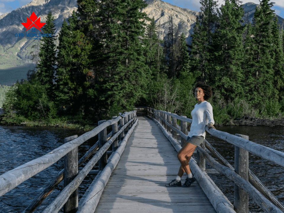 Chương trình định cư AINP ưu tiên dành cho sinh viên quốc tế tại Alberta