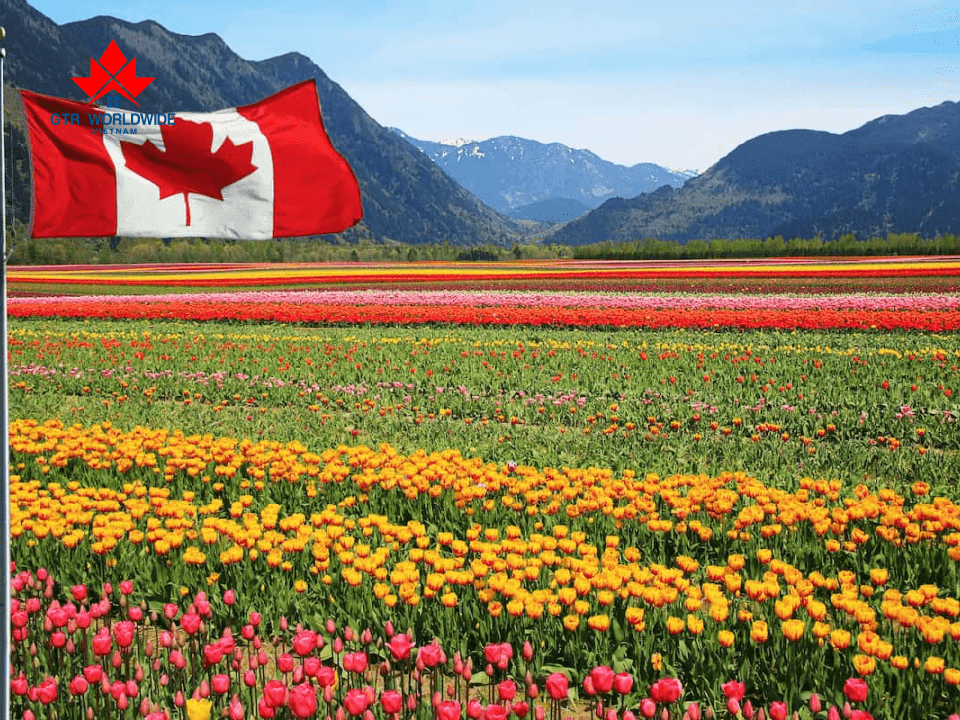 Thông tin mới nhất về định cư Canada diện nông nghiệp