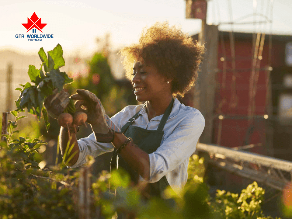 Trồng trọt là một trong những ngành nghề  đủ điều kiện tham gia chương trình Agri-Food Pilot