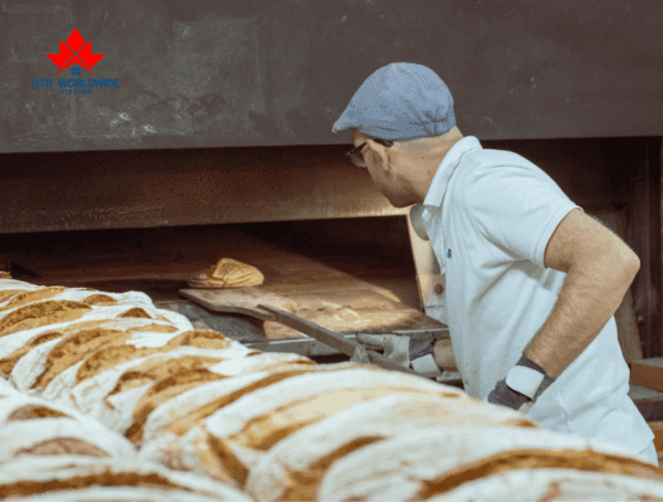 các ngành dễ định cư ở canada