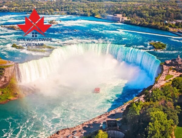 Từ điển Canada từ A-Z (p2)