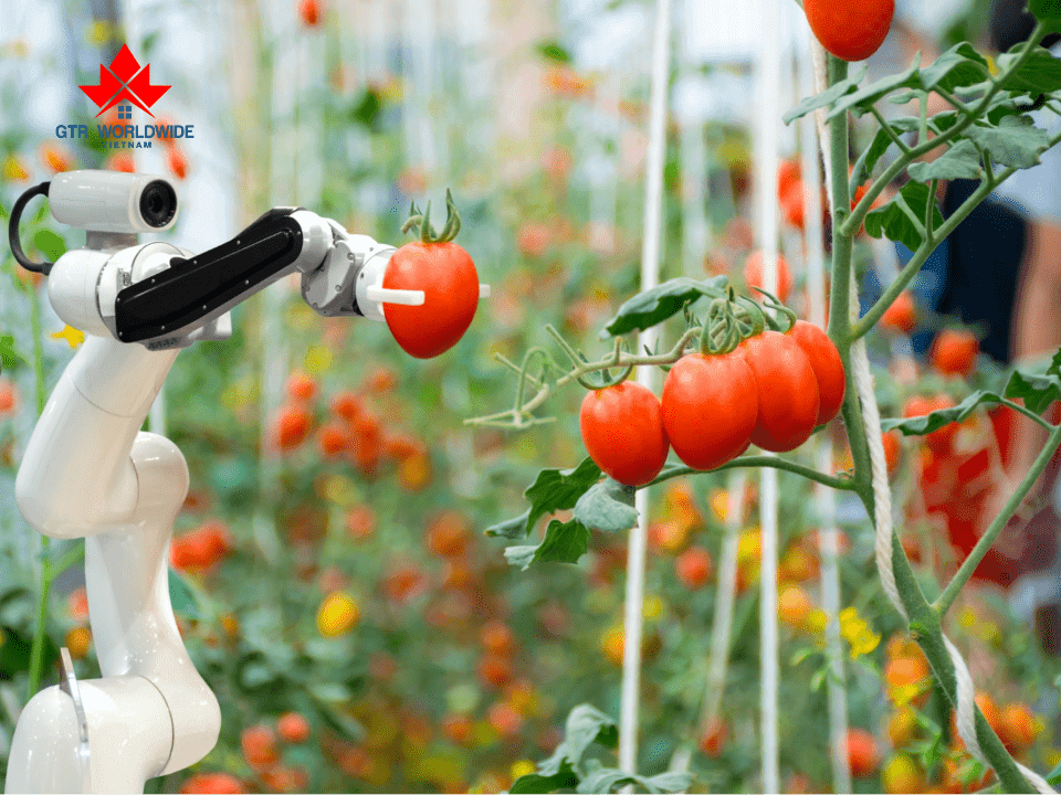 Hình ảnh này chưa có thuộc tính alt; tên tệp của nó là ke-hoach-lien-quan-phat-trien-nong-nghiep-thuc-pham-duoc-uu-tien-xet-duyet.png