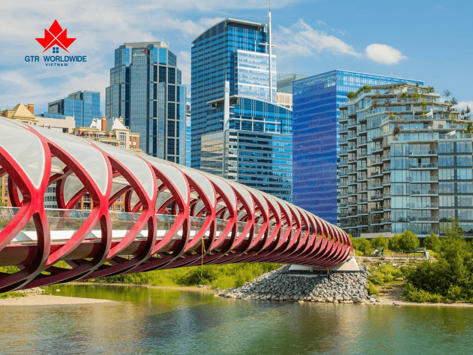Đầu tư định cư Canada ở Alberta theo diện PNP sẽ có 4 luồng dành riêng cho doanh nhân
(Nguồn: Canva)