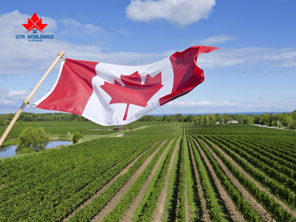 Chương trình thí điểm nhập cư RNIP giúp thu hút lao động tay nghề cao đến các cộng đồng nông thôn Canada