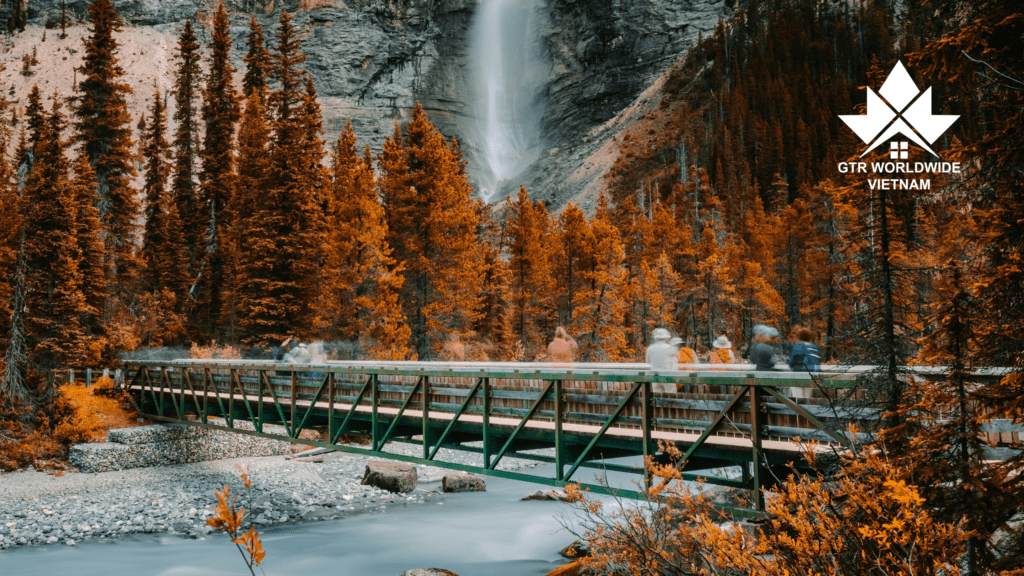 Tin vui cho du học sinh: PGWP Canada cho tất cả cử nhân từ 2025