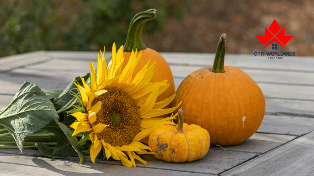 Saskatchewan dừng chương trình đầu tư từ 27/3/2025 - Hé lộ các lựa chọn thay thế hiện tại