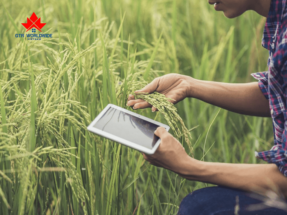 Saskatchewan là tỉnh bang có nét đặc trưng với nông nghiệp và khai thác tài nguyên