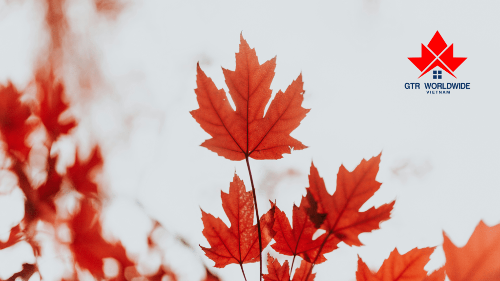 04 mô hình đầu tư định cư Canada hiệu quả: Bước đệm vững chắc cho tương lai cả gia đình