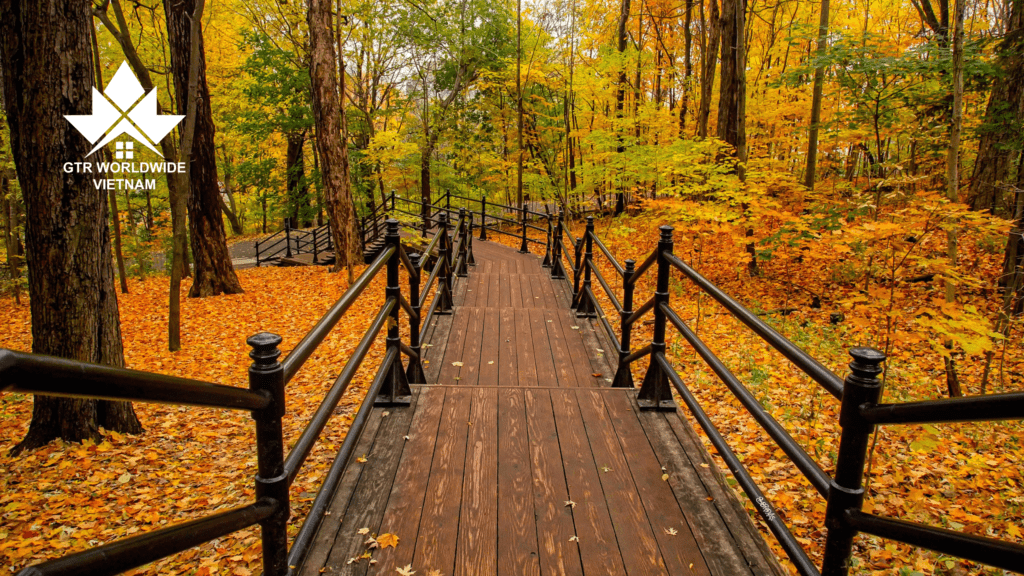 Saskatchewan dừng chương trình đầu tư từ 27/3/2025 - Hé lộ các lựa chọn thay thế hiện tại