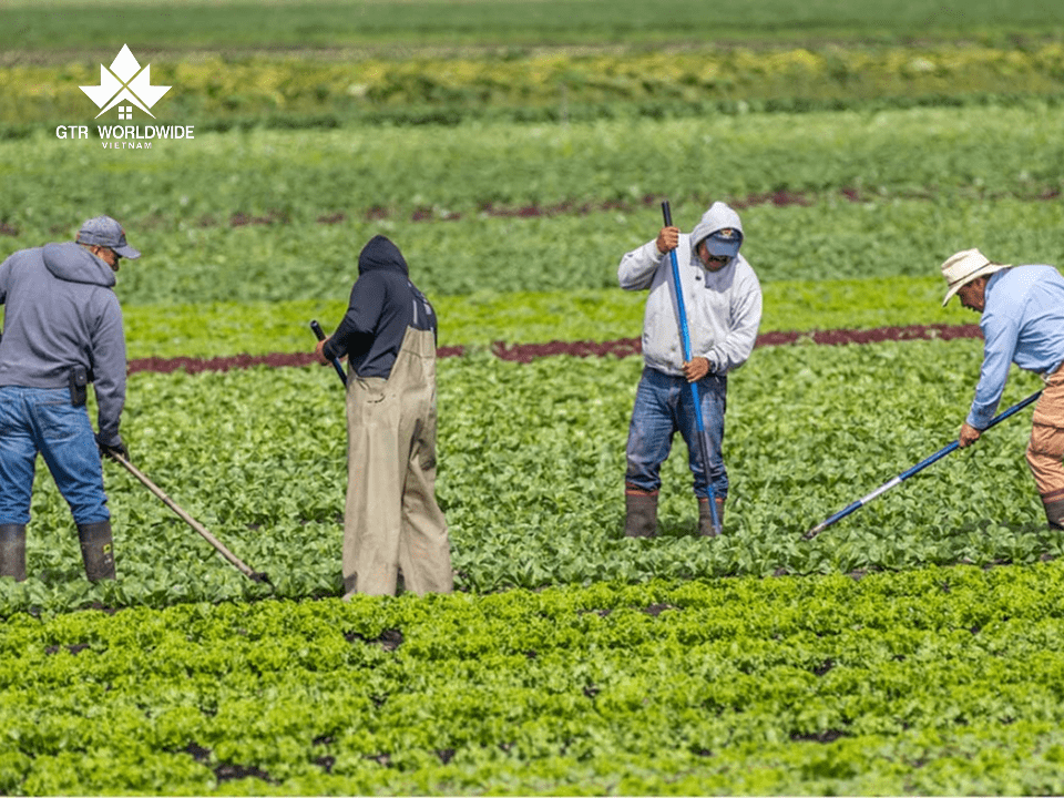 Chương trình Thí điểm Nông sản Thực phẩm nằm trong diện định cư Kinh Tế với chi phí tiết kiệm