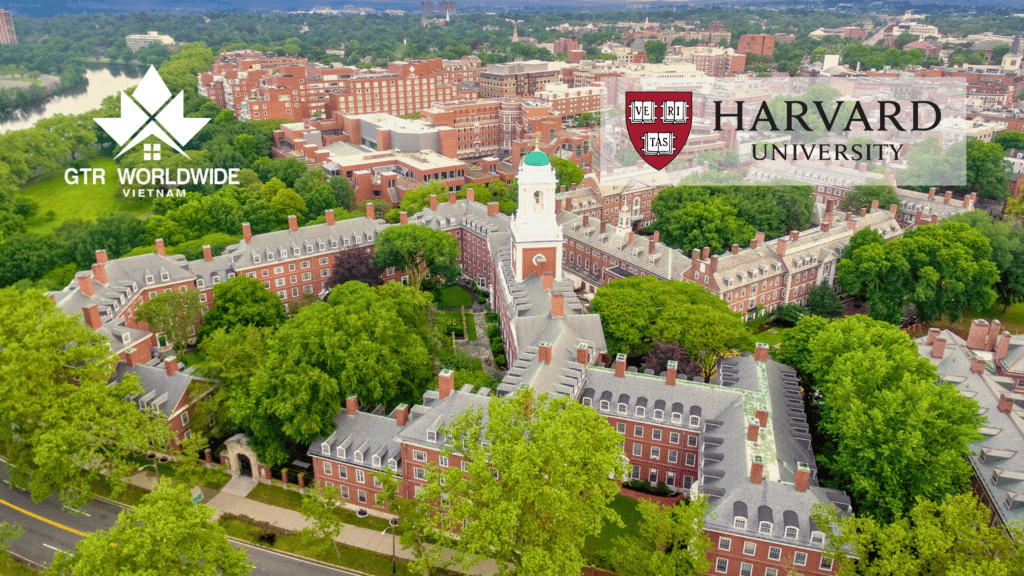 Du học Mỹ dưới thời Chính quyền Trump “thay đổi đến nghẹt thở”: Từ F1 đến Thẻ Xanh có còn khả thi?